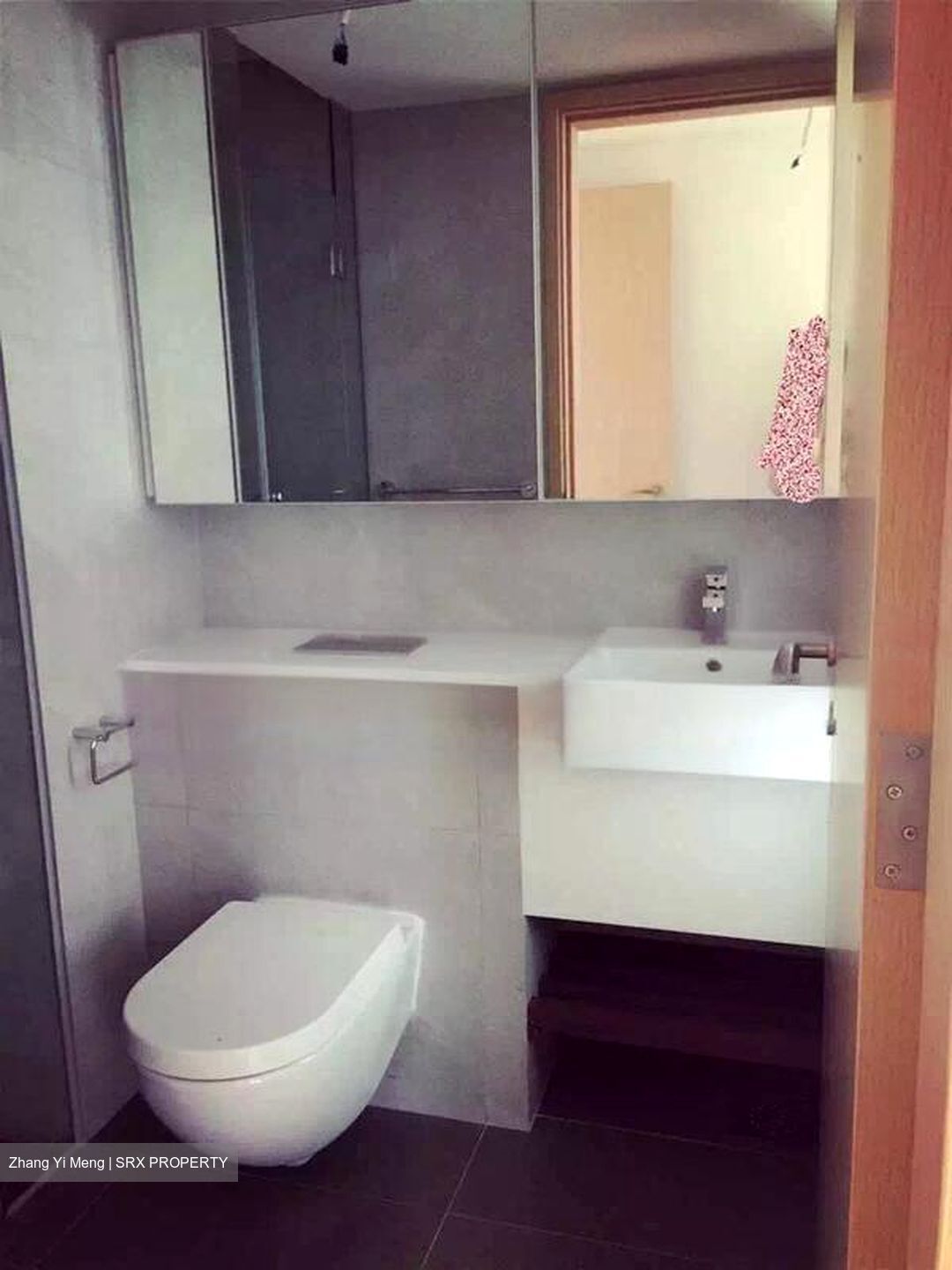 Eight Riversuites (D12), Condominium #467009341